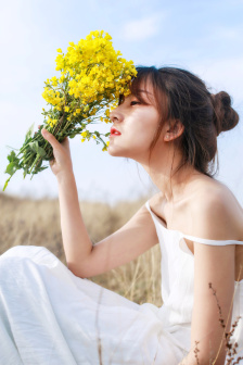 电视剧红箭完整版免费观看高清